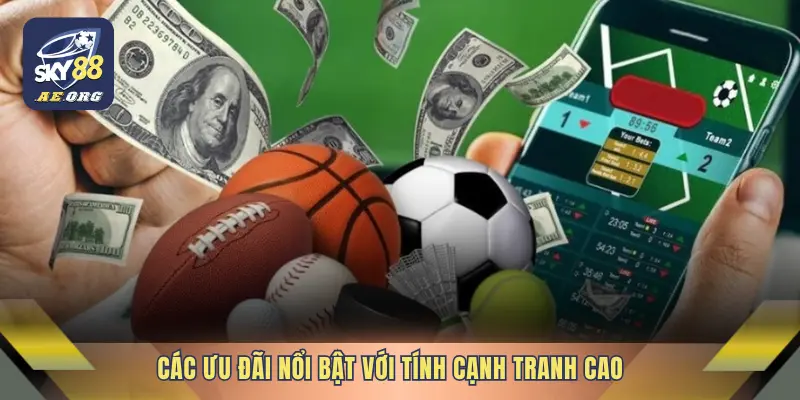 Thể Thao 2 Các ưu đãi nổi bật với tính cạnh tranh cao