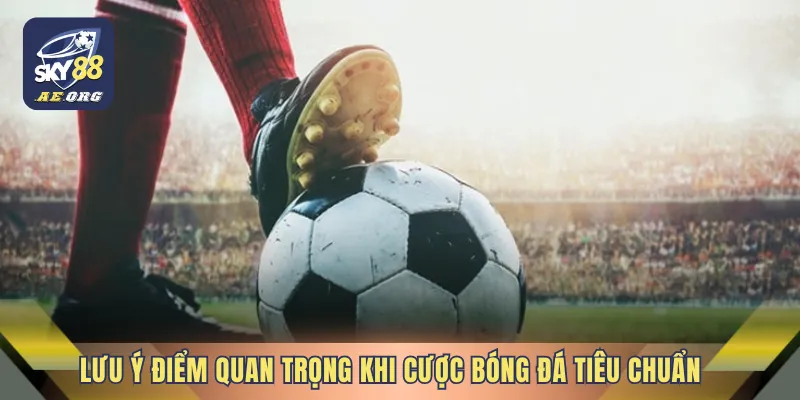 Giới Thiệu Nhà Cái Thể Thao SKY88 4 Lưu ý điểm quan trọng khi tham gia cược bóng đá tiêu chuẩn
