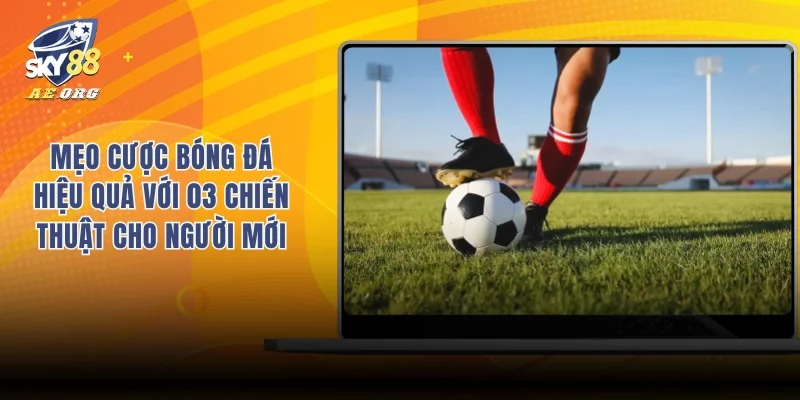 Mẹo cược bóng đá hiệu quả