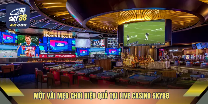 Một vài mẹo chơi hiệu quả tại Live Casino SKY88