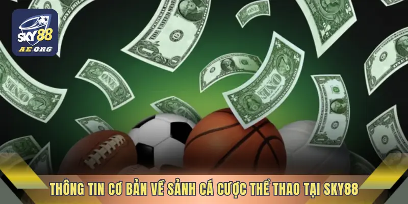 Thể Thao 1 Thông tin cơ bản về sảnh cá cược thể thao tại SKY88