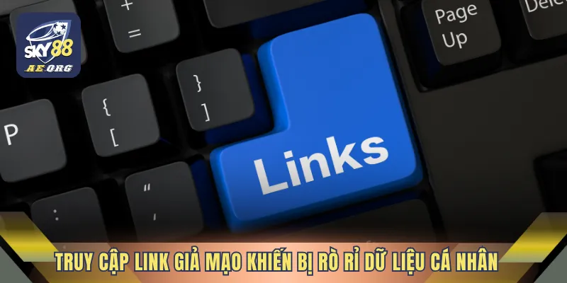 Xác Thực Link SKY88 - Cách Truy Cập An Toàn Khi Giải Trí 5 Truy cập link giả mạo khiến bị rò rỉ dữ liệu cá nhân